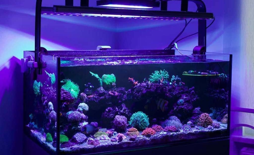 Arepk Aquarium Light.