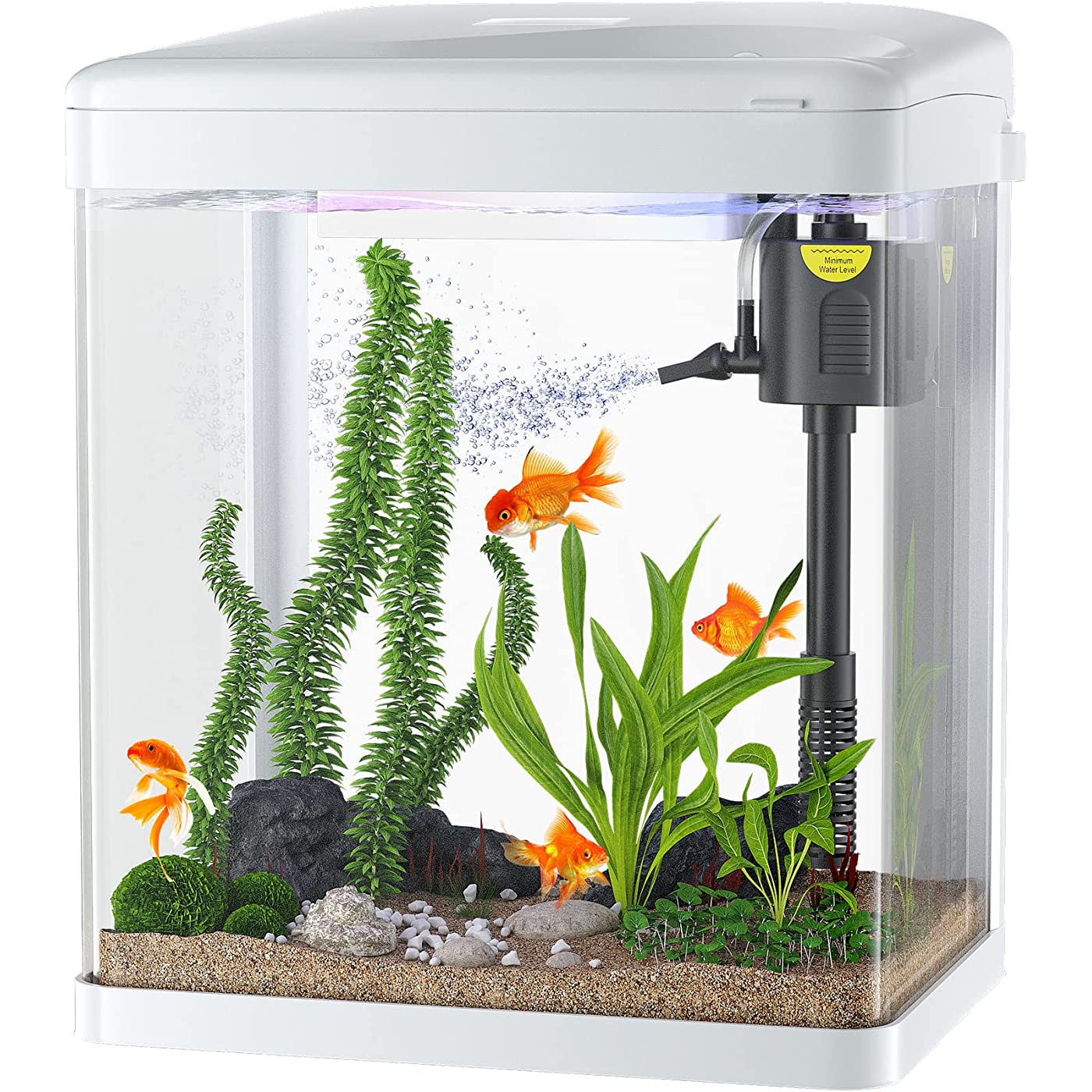 Aquarium Care Tip: How to Keep Floating Snails in Your Fish Tank ...